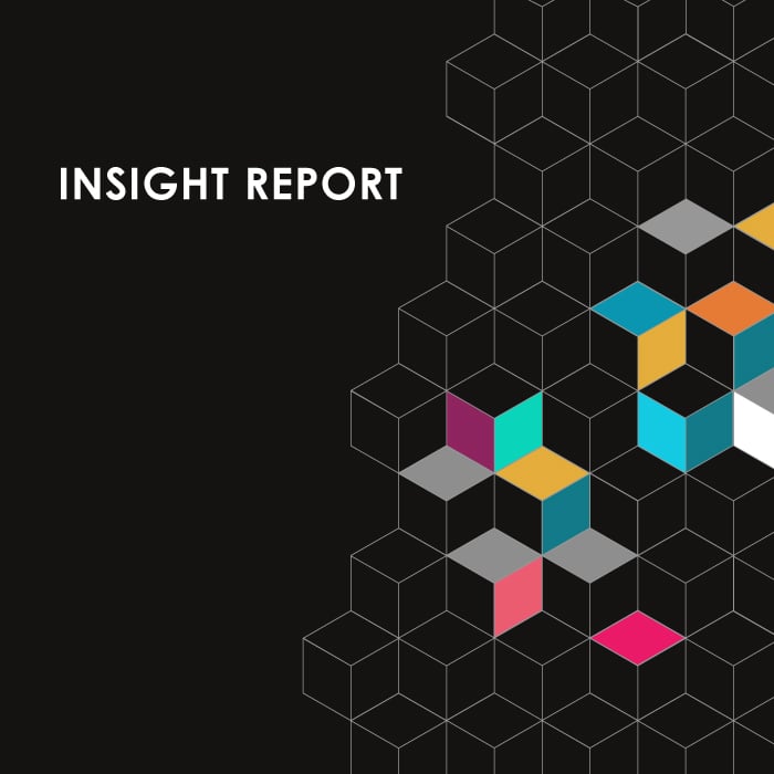 Insight Report 